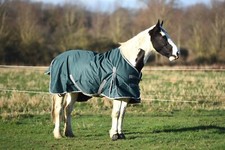 Horse Rug For Sale Lightweight