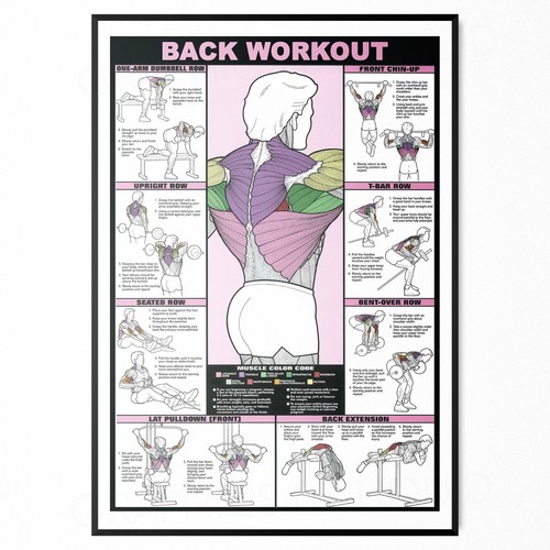 Gym workout poster all - workout, body