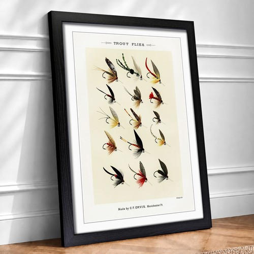 Trout fishing flies version - trout,