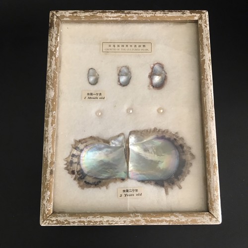 Vintage cultured pearl framed - vintage,