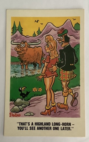 Vintage saucy seaside comic - seaside,