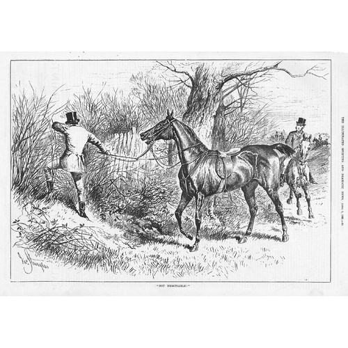 Fox hunting scene - hunting, 'non
