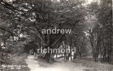 Near South Weald Church Essex