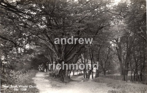 Near south weald church essex - south,