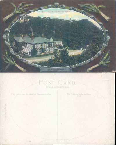 Tan coed and - y, road