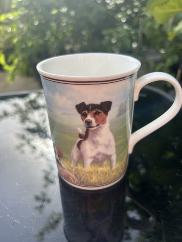 Border fine arts jack - jack, russell