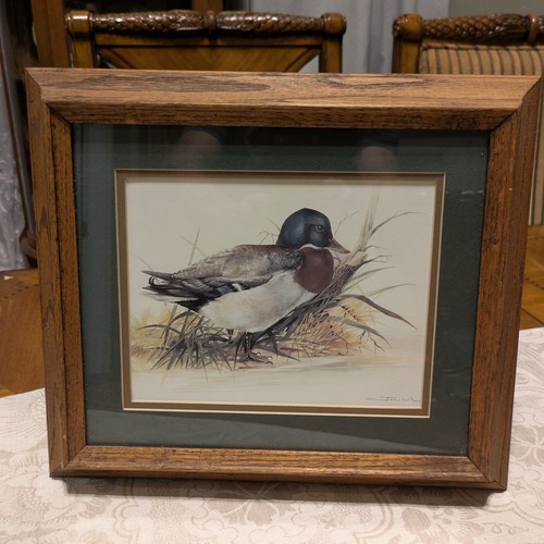 Joel kirk signed mallard duck - joel,