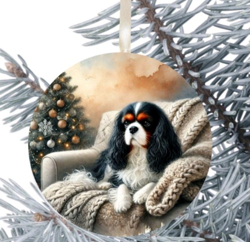 King charles cavalier spaniel - charles,