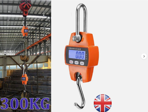 300kg mini crane - mini,