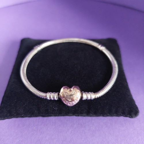 Genuine pandora snake - snake, chain