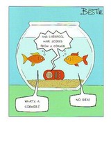 Funny Goldfish Bowl Liverpool Corner Birthday Card – Hilarious Greeting Card