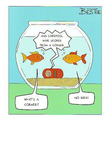 Funny goldfish bowl liverpool - goldfish,