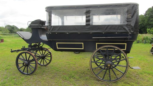 19c horse drawn rides cart - horse, cart/