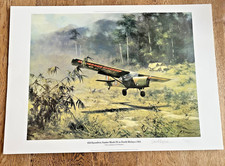 David Shepherd RAF 656