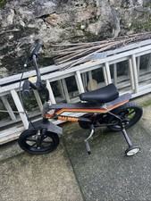 Raleigh Wolf Cub Kids Bike -