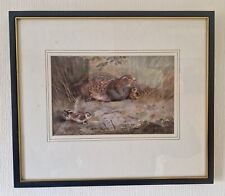Vintage Archibald Thorburn Framed Print 'English Partridge' 37.5CM X 32.5CM