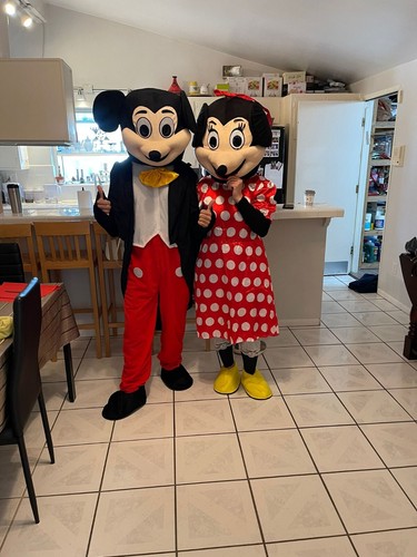 Adult mickey minnie mouse - mickey,