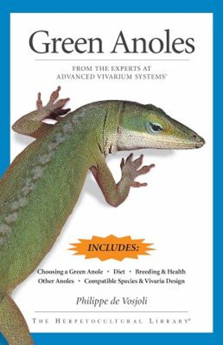Green anoles from - from, the