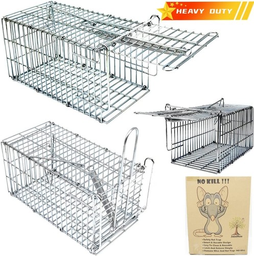 Rat trap mouse - mouse, humane