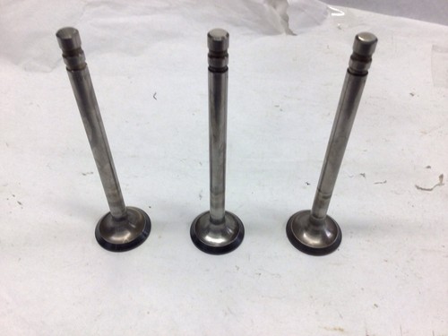 Engine exhaust valve - valve, for