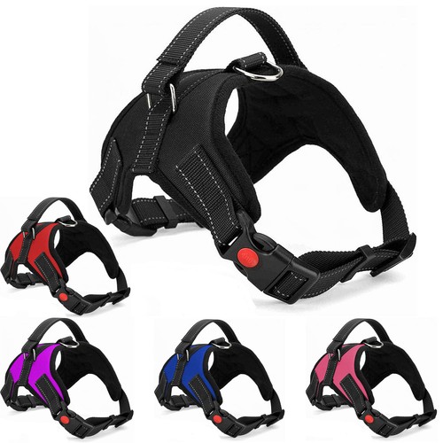 Dog harness pull for - no,