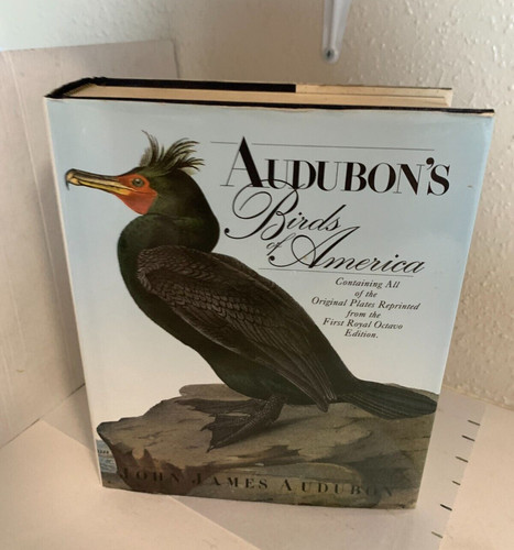 Audubon birds america - audubon's, of