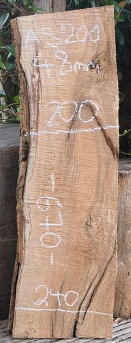 Live edge ash - live,