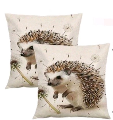 Beautiful hedgehog cushion - x,