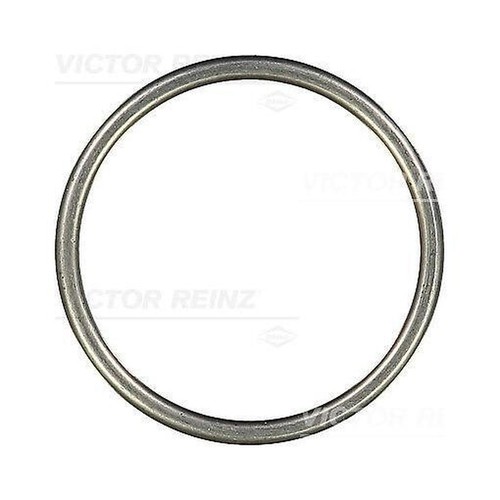 26201 victor reinz - victor,