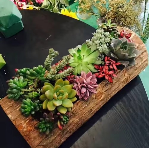 Rustic wooden log planter - rustic,