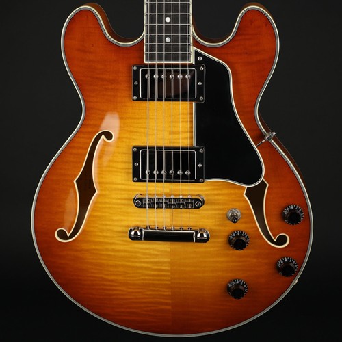Eastman t484 thinline - eastman, 14"