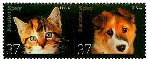 Mint spay neuter - 2, &