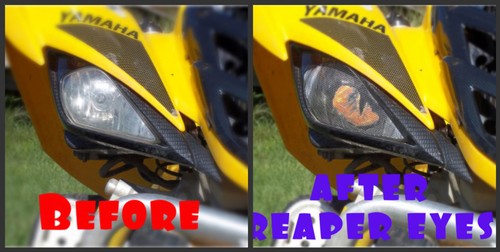 Yamaha raptor reaper head - raptor,