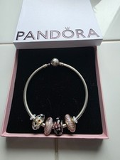 Genuine Pandora Moments Bangle