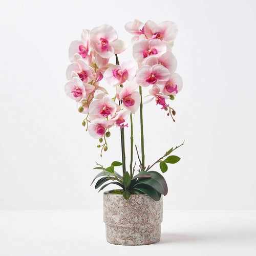 Artificial orchid 64cm tall - orchid,