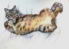 Cat painting original watercolour tabby cat belly