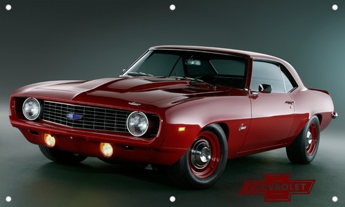 1969 camaro vinyl - camaro,