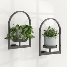 Hanging Planters Indoor Plants
