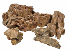 Dragon stone rock natural fish - dragon,