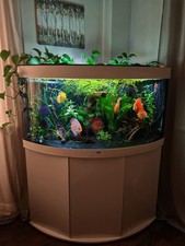 Trigon 350L Aquarium Fx 6 Co2 Air Pump Fluval Plant 4.0 Pro High End Setup Tropi