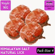 Himalayan salt lick Rock For