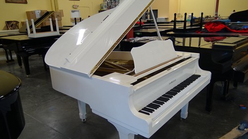 Yamaha snow white 2010 - ,