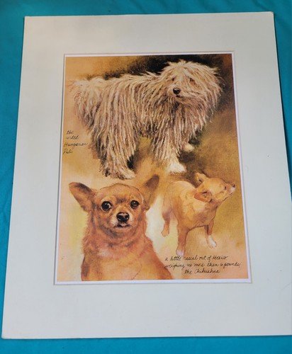Vintage dog art - dog, animal