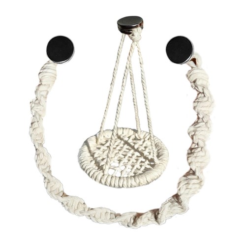 Jumping spider rope bridge - spider,