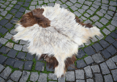 Genuine angora goat hide rug - genuine,