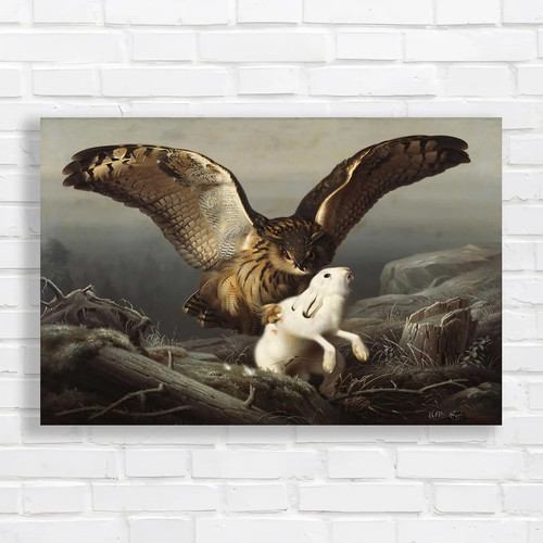 Majestic owl and hare - and,