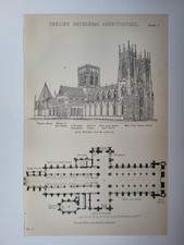 Antique Print 1870 English