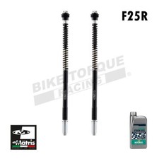 Matris F25R Fork Cartridge Kit