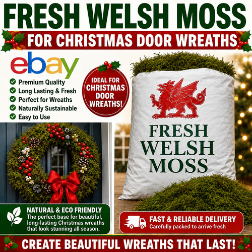 Moss fresh sphagnum - fresh,