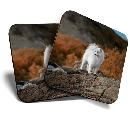 Coasters samoyed husky - 2,